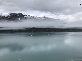 View from our cabin at Glacier Bay