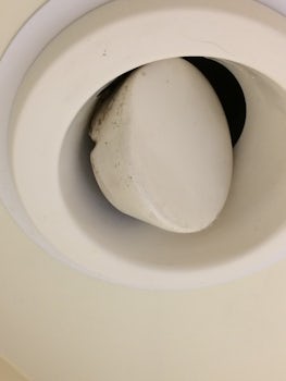 Pic of filter over toilet.  Mold?  
