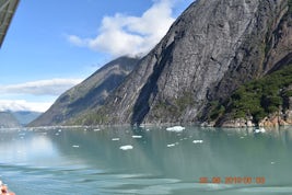 Endicott Arm View showing ice flows