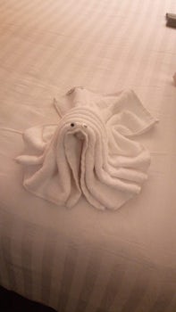 Lobster from a towel