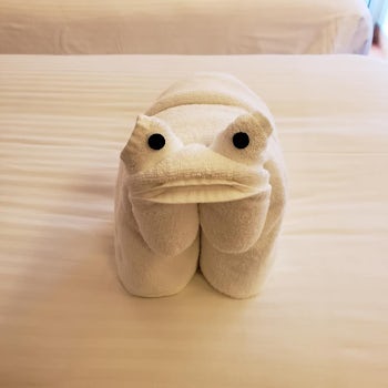 One of our towel animals