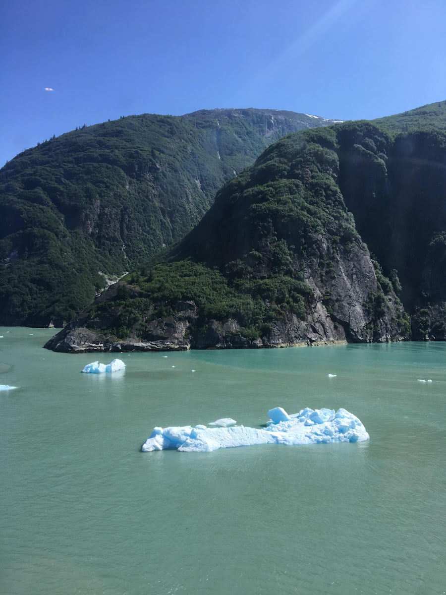 Tracy Arm Fjord sights - iceberg formations
