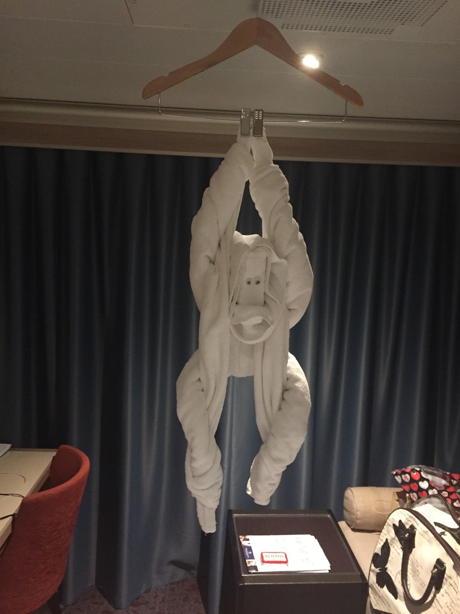 Always fun to see what towel animal left for Cabin turn down. 