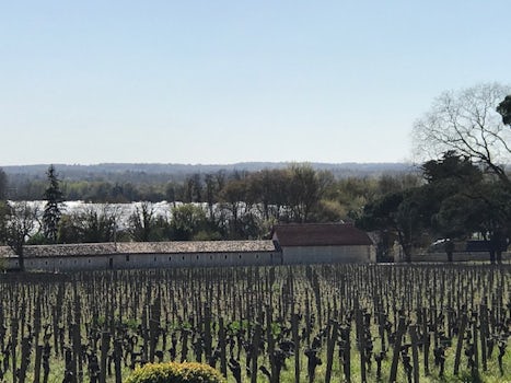 landscape at Chateau de Dauphine winery