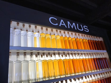 Camus distillery selection