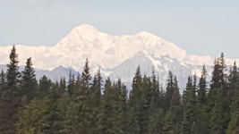 View of Denali from train