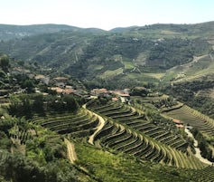 Douro Vineyards