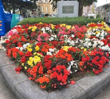 Flowers in Holyhead