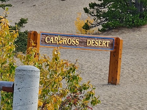 Carcross Desert seen on the Jeep Tour