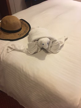 Every day when we would back to our cabin we would have a different towel animal. The tutrtke was our favorite. 