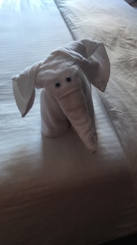 Another towel animal 