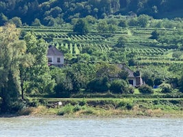 wachua valley vineyard