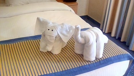Two of the cute towel animals our cabin Steward made for us one day