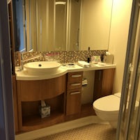 Cabin 1009 Bathroom