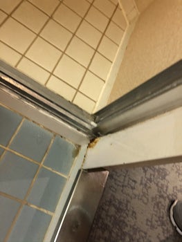 Nasty bathroom floor. 
