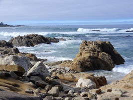 Bird Beach near Monterey, California
