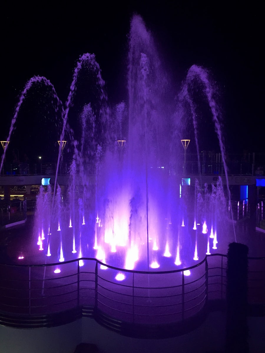 The water show/fountains on the last night. pretty but the fountains weren&