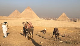Day tour to Giza.