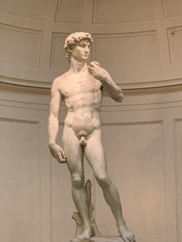 Michelangelo’s Favid