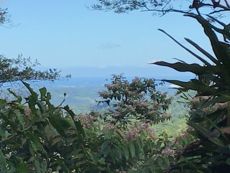 View from the rain forest in Costa Rica of our ship in the distance.