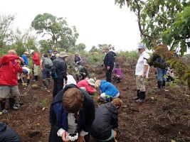 We planted trees on one of the islands as part of a sustainable tourism pro