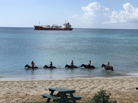 Riding our horses in the ocean at St. Maarten! The cool water felt great!