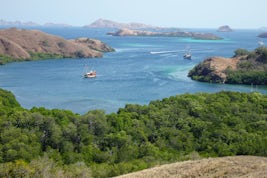 View from a hike in Rinca Island. The water is a stunning colour and the sh