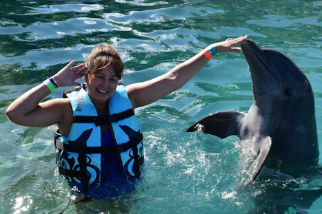 Dolphin Discovery Grand Cayman