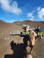 A fun camel ride on Lanzarote island. What great weather. 