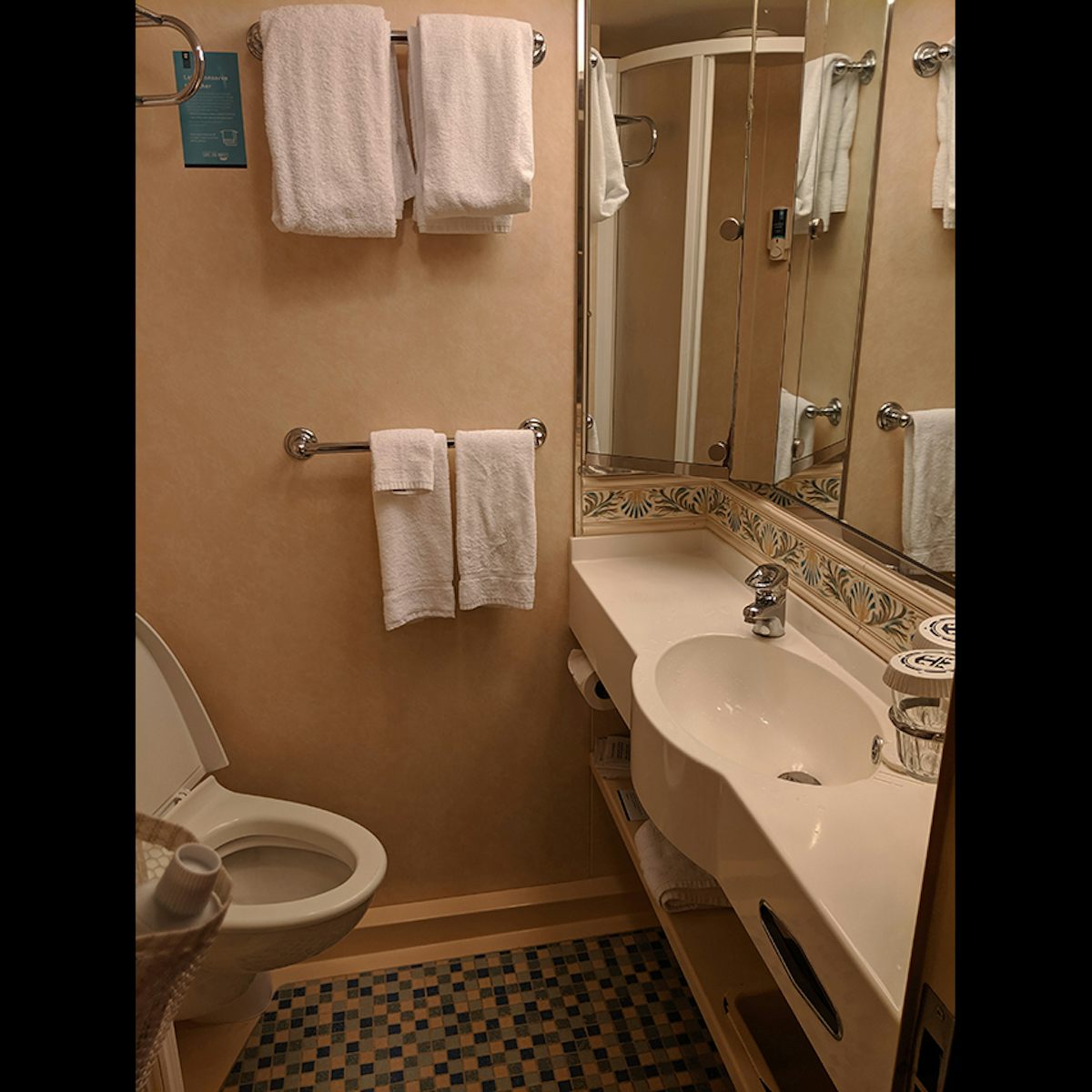 This is the bathroom of cabin 7076. It was quite large enough, though it di