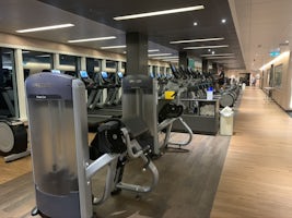 Gym is expansive and well equipped
