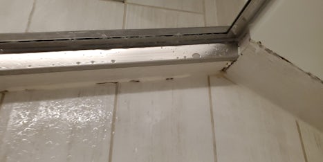 Mold and mildew in shower 