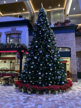 The Christmas tree on the Promenade Deck 