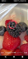 we found a live spider and a live bug are moving inside a bowl of berries w