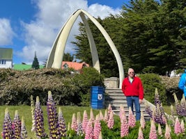 Port Stanley - Falkland Islands - beautiful gardens of giant lupine and wha