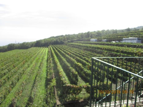 High altitude vineyards near Taormina
