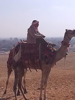 Camel riding in Egypt