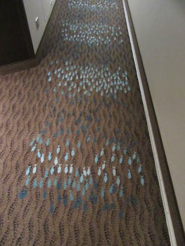 Showing the hall carpets - schools of fish swimming in the same direction p