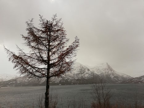 Winter landscape in Vesteralen.