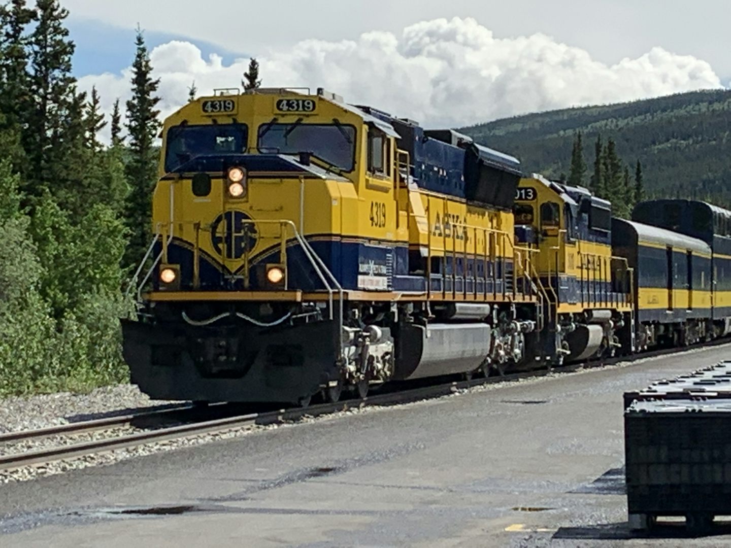 Train from Denali park to Fairbanks.