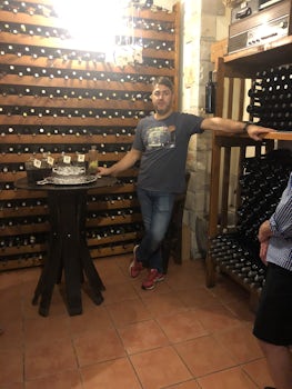 Winery tour and tasting in Croatia