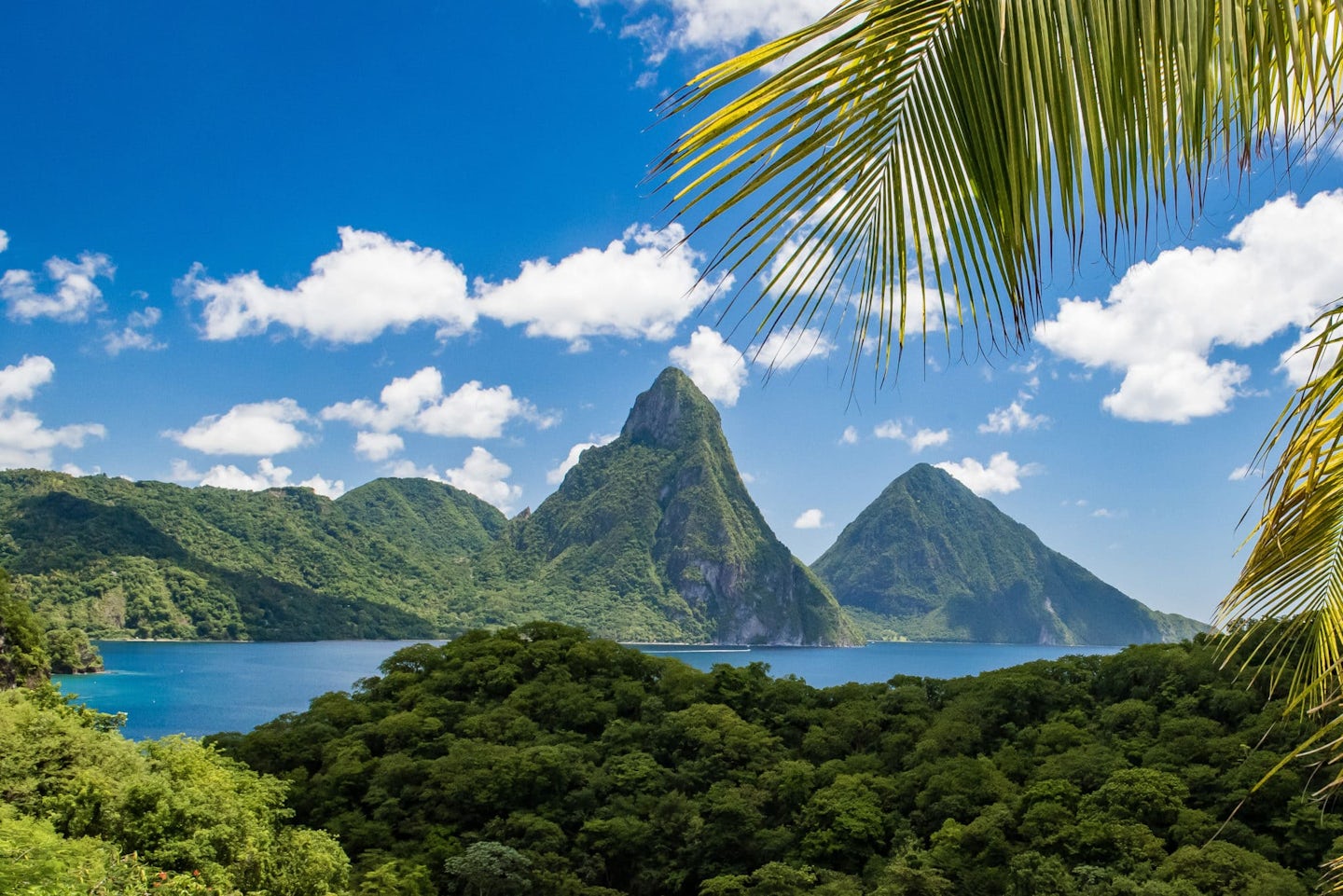 St Lucia:  Pitons