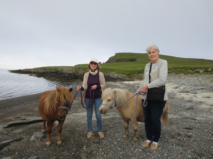 This is the Shetland Pony Experience. The farm staff was gracious and infor