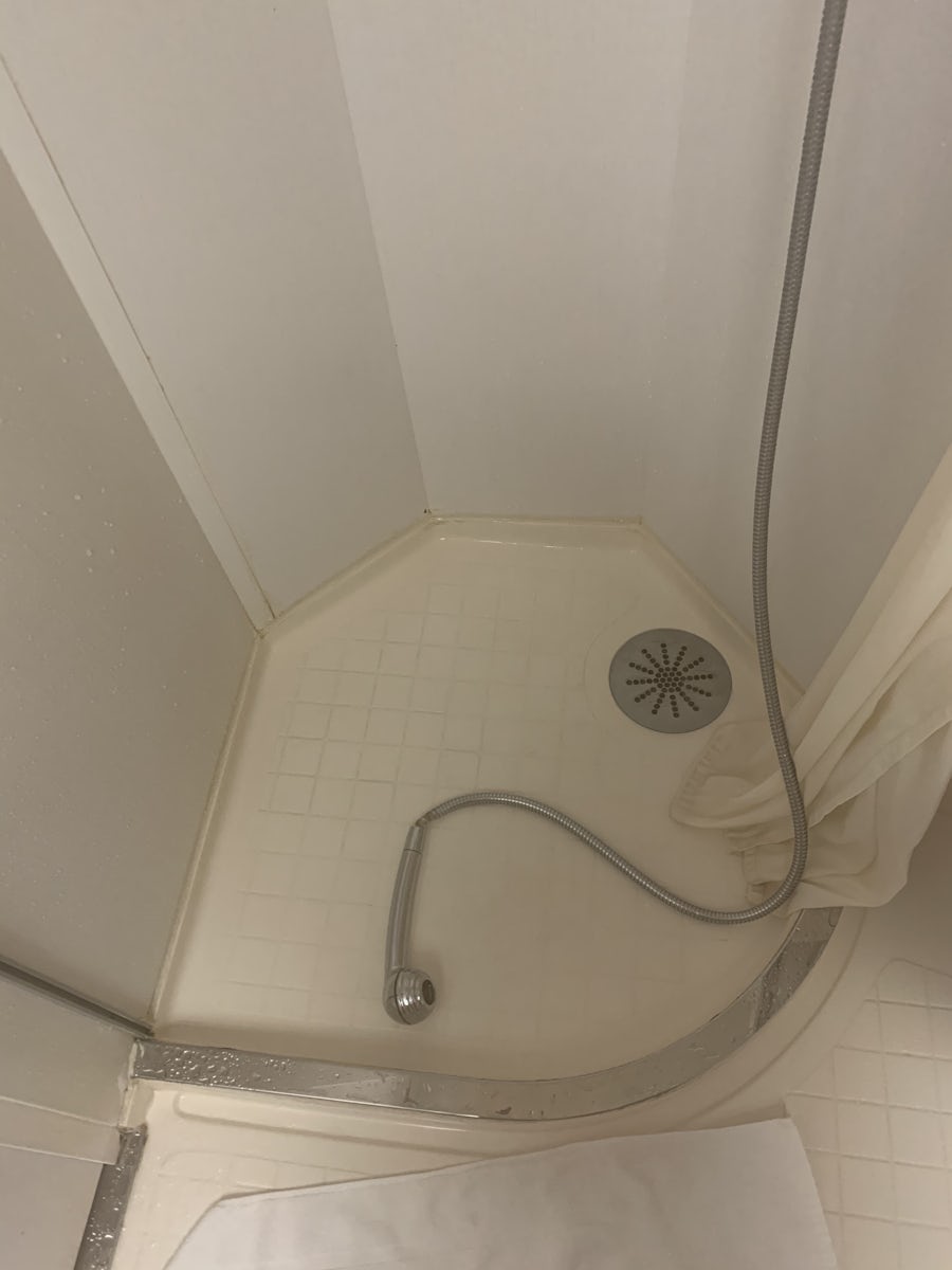 Shower with mold and the shower head that fell on my head every shower beca