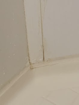 Mold in shower