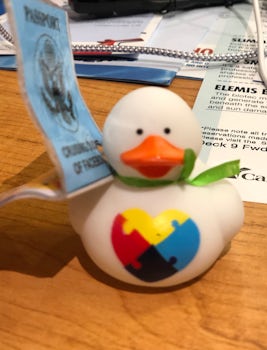 Duck found on our cruise. Autism Awareness.
