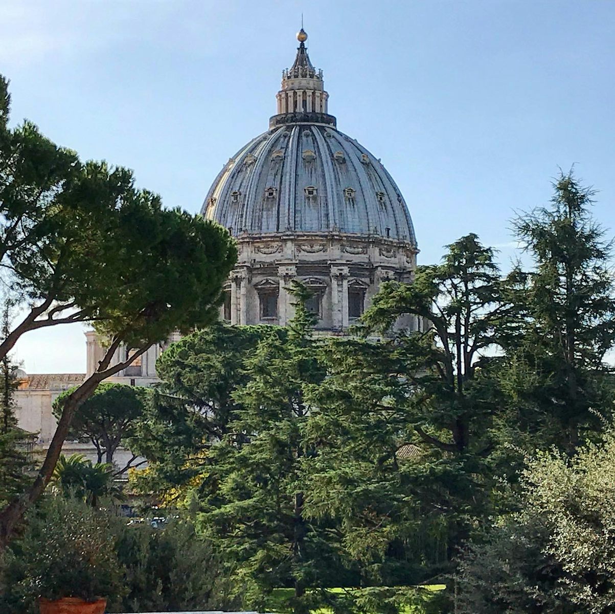 St. Peter’s from the Vatican 