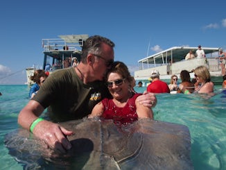 Interacting with the stingrays