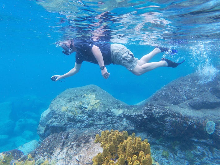 Snorkeling St. Lucia on the Land/Sea combo excursion.