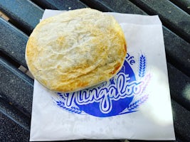 Best pie in the country at Ningaloo Bakery - Exmouth 